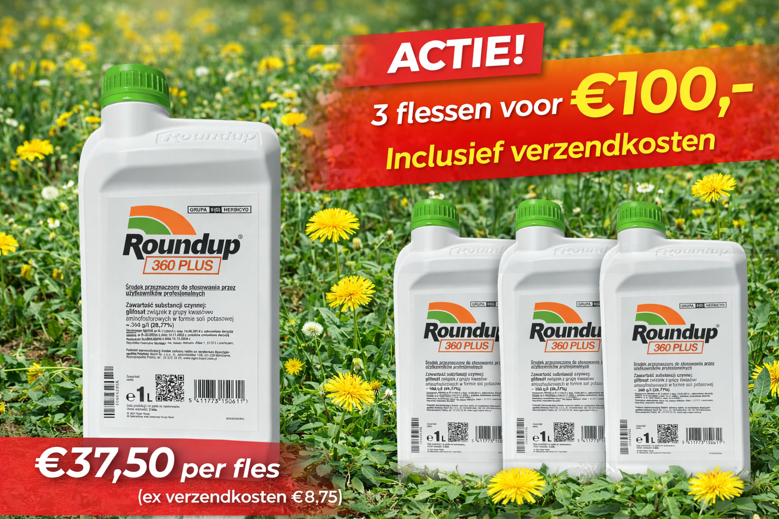 Roundup